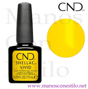SHELLAC 703 YELLOW TAXI