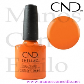 SHELLAC POPSICLE PICNIC