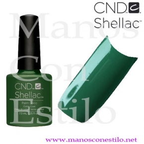 SHELLAC PALM DECO