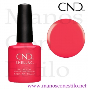 SHELLAC 122 LOBSTER ROLL