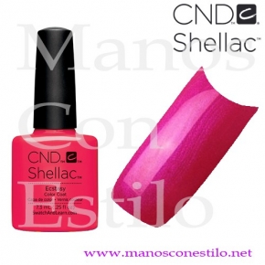 SHELLAC 241 ECSTASY