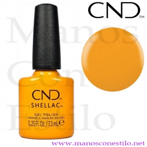 SHELLAC 395 AMONG THE MARIGOLDS